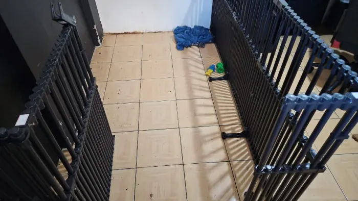 Cercado em PVC, jardim, animais e ambientes formato em L.