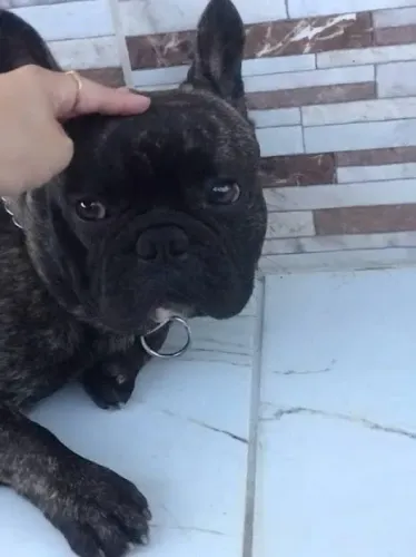 A procura de uma namorada