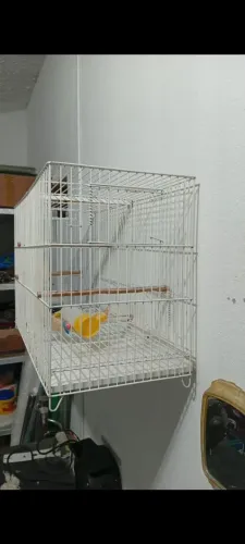 Vende gaiola