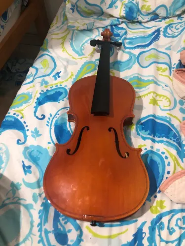 Violino 