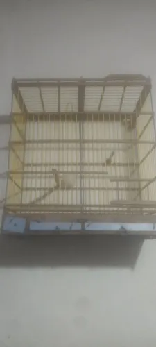 Gaiola
