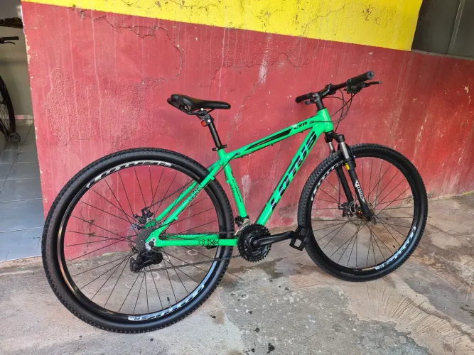 LOTUS ARO 29 CICLO CAIRU