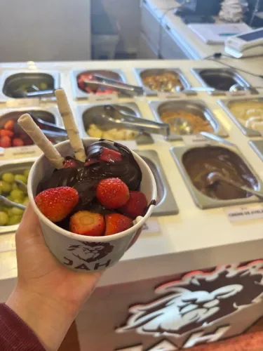 vendo ou troco Franquia de açai