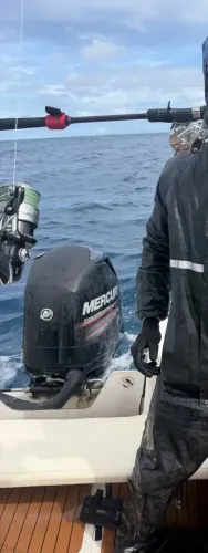 Motor Mercury 90HP 4T - Seminovo
