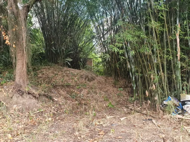 Excelente Terreno de Frente para a Rua com 615m² - Ideal para Projeto Moderno com Vista Pa