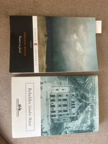 Livros de literatura (combo)