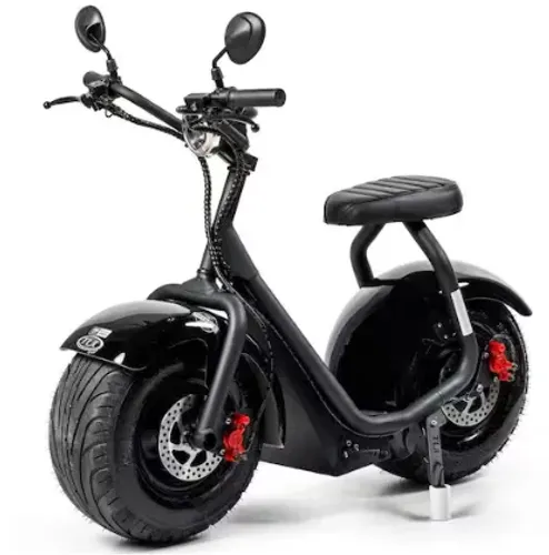 Scooter Tui 1000W