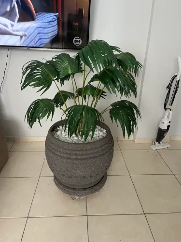 Vaso de planta