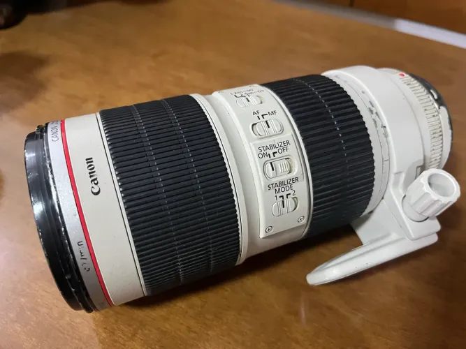 Canon EF 70-200mm f/2.8L IS USM
