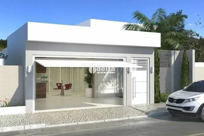Casa com 3 quartos sendo 1 suíte disponível para venda no bairro Novo Mundo em Uberlândia-