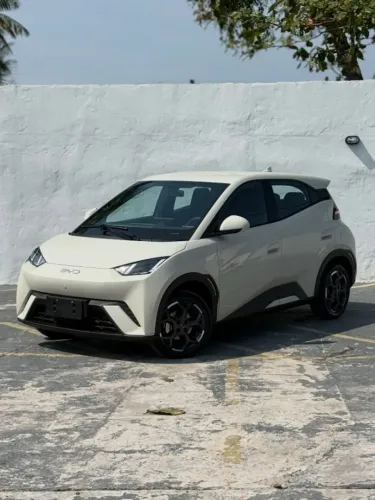 BYD Dolphin Mini (Elétrico) 2024