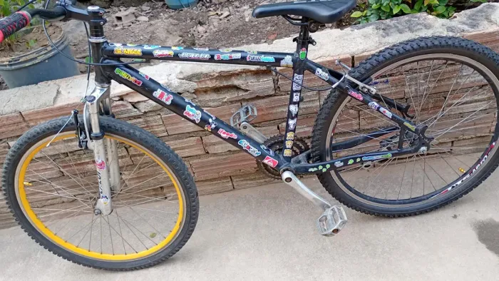 Bicicleta