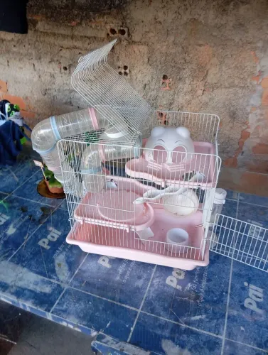 Gaiola pra hamsters