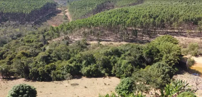 Imóvel para venda possui 20000 metros quadrados em Zona Rural - Cordisburgo - MG