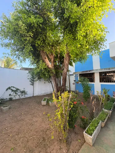 Vendo casa , único dono
