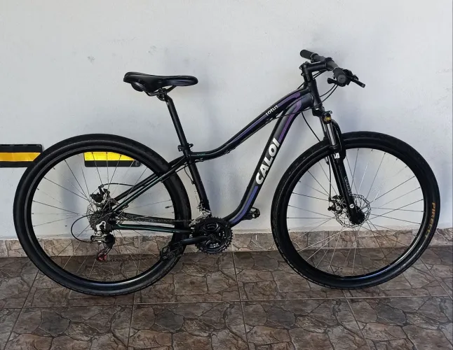 Bicicleta Caloi Lótus aro 29 Shimano Touney 21v