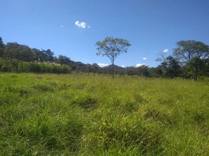 Um terreno 5 mil metros todo murado 5 milhões 