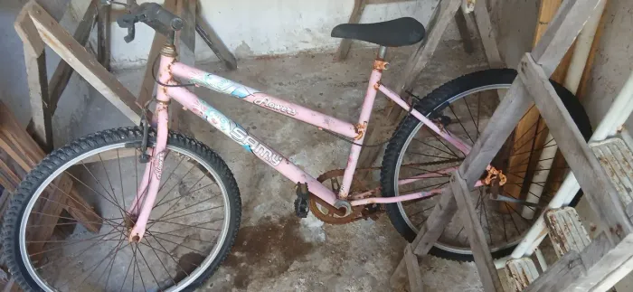 Bicicleta