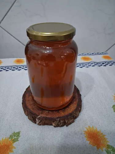 Mel silvestre 800g