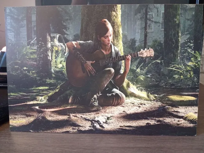 Quadro decorativo Ellie The last of US (sem moldura)