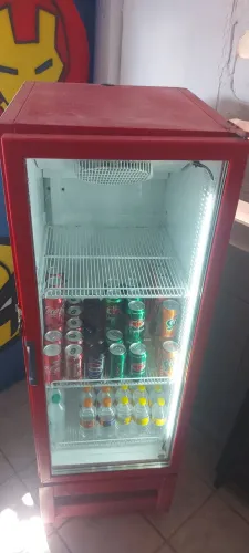 Freezer vertical