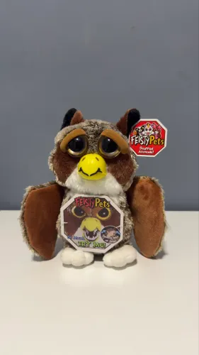 Feisty Coruja da Terra