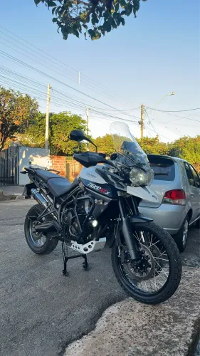 Tiger 800 xcx