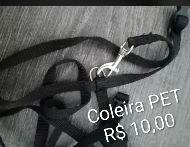 Coleira Pet porte pequeno