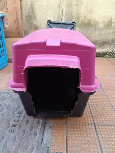 Duas casinhas de cachorro pequena