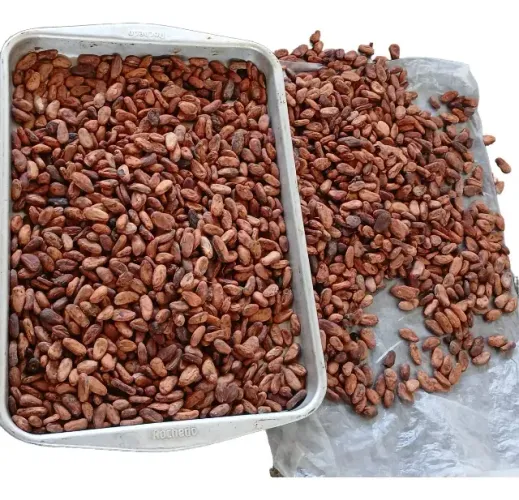 Amendoas De Cacau Grãos Sêco S/ Açucar, Gluter, Lactose 5kg