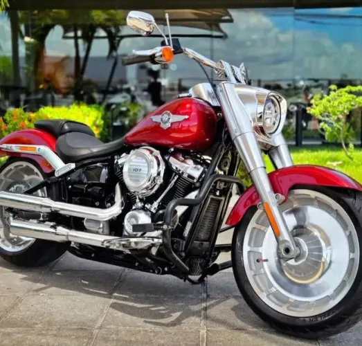 Fat Boy FLFB 2019