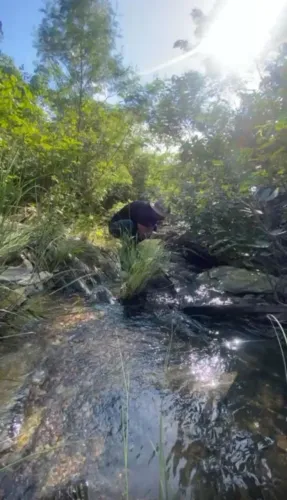 Chácara á venda na Rodovia da Chapada