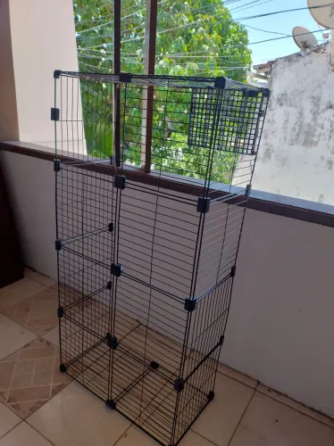 Cercado pra porquinho da índia