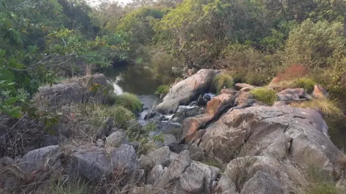 Seu Paraíso Particular na Natureza  20.000m² em Teresina de Goiás!