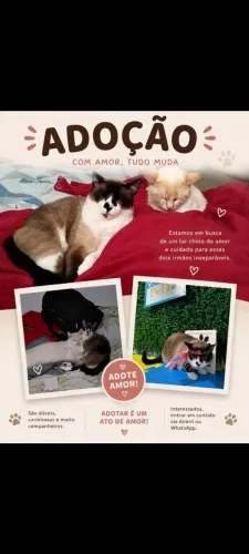 Doação responsável