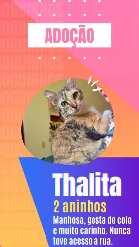 Adote essa gatinha ?