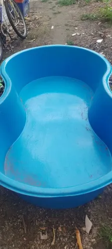 Piscina de quintal 