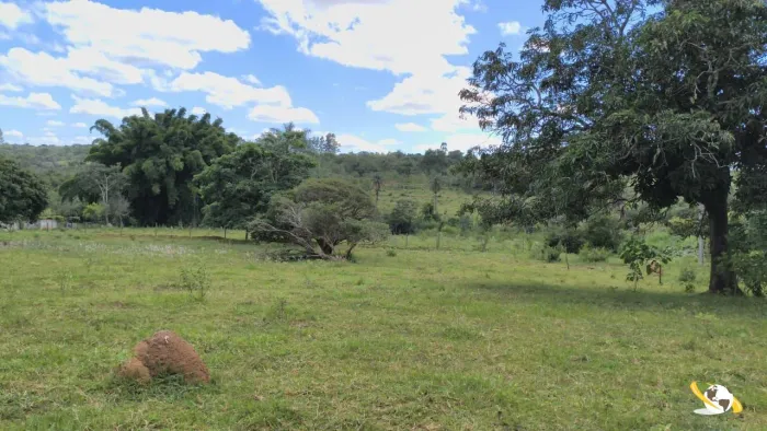 SITIO COM 6 HEC AO LADO DE MONTE CARMELO