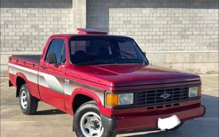 Chevrolet D20