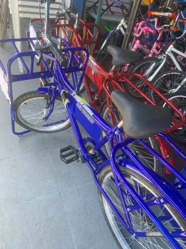 Bicicleta cargueira 