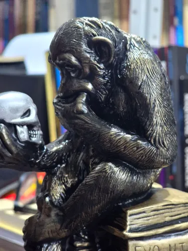 Escultura Evolução Darwin; O Macaco Pensador.