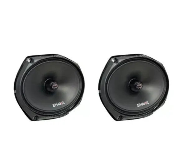 Alto-falante SNAKE - 220 RMS 