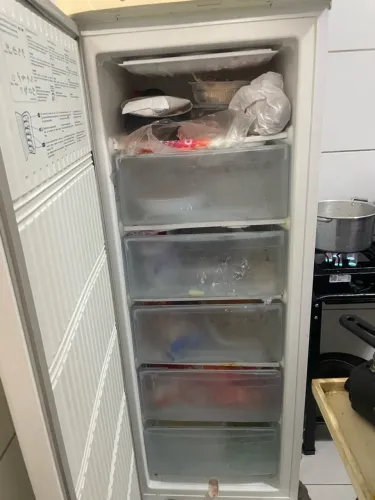 Freezer vertical