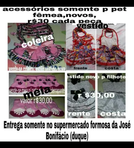 Acessórios somente para pet fêmea novos r$30 cada peça