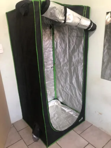 Carpa de cultivo indoor 80*80 master tents 