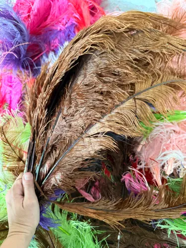 Plumas Penas Grandes - +100 Unidades - Carnaval e Fantasia