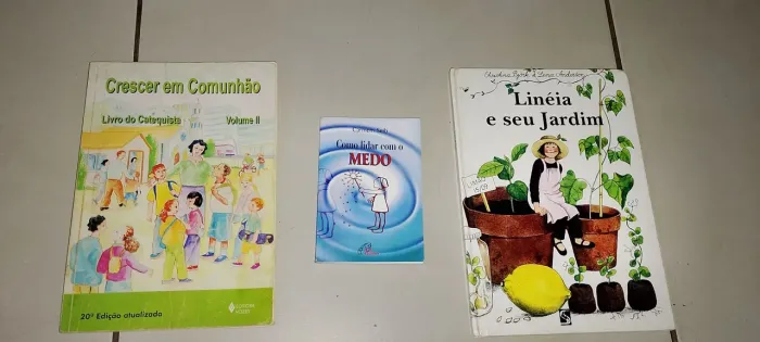 Vendo 3 livros 1 crescerem em comunhão 2 como lidar com o medo 3 lineia  e seu jardim.