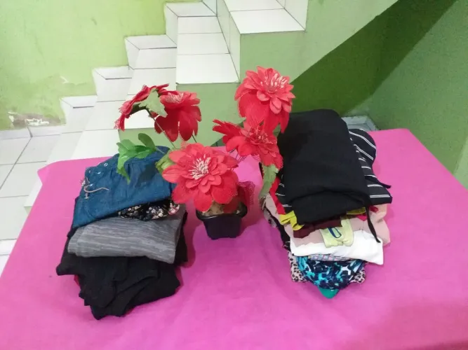 Roupas feminina