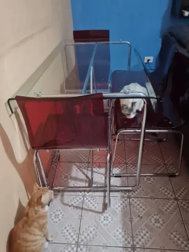 Imperdível linda mesa de vidro + 4 cadeiras de acrílico