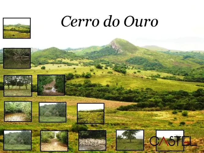 Fazenda em São Gabriel do Oeste - 715 HECTARES